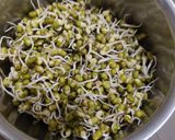 સ્પ્રાઉટ કબાબ (Sprout Kebab Recipe In Gujarati) રેસીપી સ્ટેપ1ફોટો