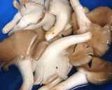 Hình bước làm 1 của món Mướp Xào Nấm Dai
