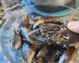 Foto del paso 1 de la receta: Mejillones al cava con MyCook Touch