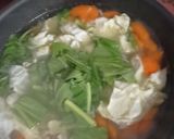 Foto langkah ke 2 dari resep Sop Sayur dan Bakso.