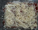 A picture of step 7 of Eggplant Parmigiana.