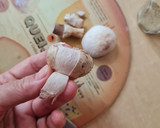 Foto del paso 1 de la receta: Fideos coditos (gomiti 🇮🇹) con salsa de hongos champignones blancos 🍄