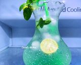 Mint lemonadematakin girki9 hoto