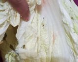Foto langkah ke 1 dari resep #107 Kimchi.