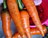 Foto del paso 2 de la receta: Fermentado de zanahorias 🥕 Conserva saludable de palitos de zanahoria, llena de probióticos 🦠 🦠