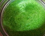 A picture of step 5 of Mung sprouts dhokla.