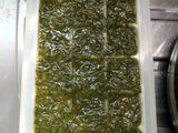 Albahaca todo el año