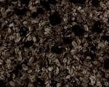 Foto langkah ke 4 dari resep Granola minimal (4in1).