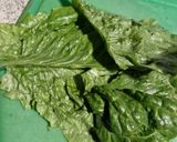 Foto del paso 2 de la receta: Betarraga Rellena