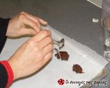 A picture of step 8 of Caramel Chocolate Bites with Sea Salt.