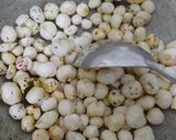 A picture of step 2 of Masala Makhana.