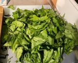 Une image de l'étape 6 de Nouilles à l'oseille, tomates, ail, crème et persil.