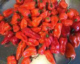 Une image de l'étape 1 de Piments antillais confits.