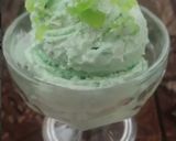 A picture of step 6 of Kiwi ice cream 🥝.