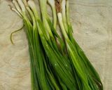 A picture of step 1 of Onion Flower Stalk Bhakri.