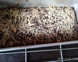 Foto langkah ke 8 dari resep Cake jamur tiram no mikser,no Bp,no SK.