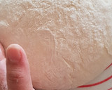 A picture of step 9 of No Knead Rustic Bread.