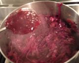 A picture of step 11 of Roast Duck with Braised Red Cabbage and Bread Sauce.