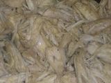 كص دجاج على طريقتي الخاصة 🍲
