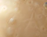 A picture of step 2 of Custard with orange jelly.