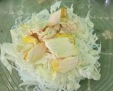 Foto langkah ke 31 dari resep Soto ayam kuah kuning + koya.