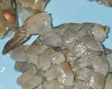 Foto del paso 4 de la receta: Paella de cangrejo azul y potón