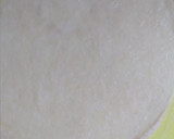 A picture of step 8 of Springrolls.