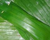Foto langkah ke 2 dari resep Otak Otak Barakuda.