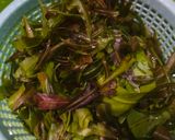 Foto langkah ke 1 dari resep Sayur Bening Kelakai.
