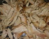 Foto del paso 1 de la receta: Sándwich de pollo