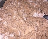 Foto del paso 5 de la receta: Galletas 🍪 para san Valentín