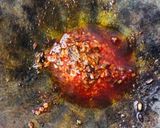 A picture of step 4 of Dal Palak.