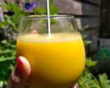 Foto langkah ke 3 dari resep Takjil Sehat : Jus Kelapa Muda Kunyit Kurma.