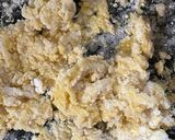 A picture of step 1 of Creamy Farfalle Pasta with Mushroom & Spinach.
