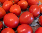 Foto del paso 2 de la receta: Tomate frito en conserva con Thermomix