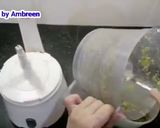 A picture of step 3 of Fresh Green Chilli Paste Recipe.