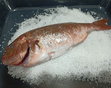 Foto del paso 1 de la receta: Pargo a la sal