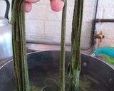 Foto del paso 4 de la receta: Fetuccine integral de acelga
