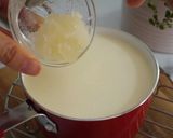 ㄉㄨㄞ．ㄉㄨㄞ鮮奶酪的食譜步驟3照片