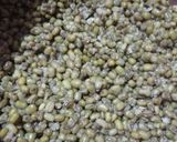 Foto langkah ke 1 dari resep Pasta Kacang Hijau (Isian Bakpao/Bakpia).