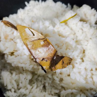 Langkah 4