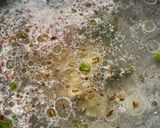 A picture of step 2 of Barnyard rice and peanut, potato curry for fast recipe.