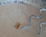 Foto del paso 4 de la receta: Garibaldi