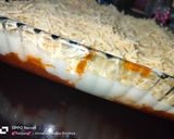 صورة لخطوة 4 من وصفة كالزوني