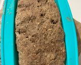 Foto del paso 5 de la receta: Pan de molde integral casero (fácil) 🍞