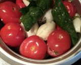 A picture of step 6 of Iraqi style Dolma.
