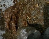 Foto langkah ke 4 dari resep Empal Gepuk Daging Sapi.