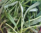 Hình bước làm 1 của món Thịt bò xào rau muống