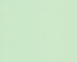 Foto del paso 11 de la receta: 𐀔˚˖Fairy Truffle-Moss · Caprichos de hada˖˚𐀔 {Trufas de pistacho y chocolate blanco}