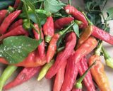 Foto langkah ke 2 dari resep Sambal pedas tongkol juara.